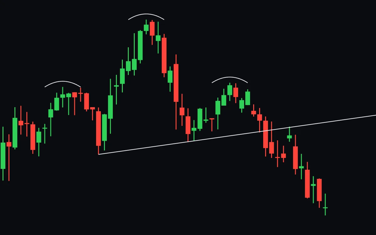 After the break the price climbs back to the neckline, a wick touches it from below, then the price falls well below it